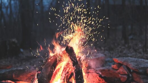 bonfire on forest